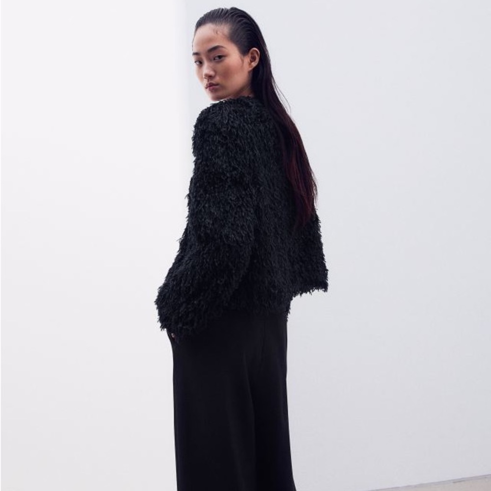H&M Short Jacket - Picture 5 of 5